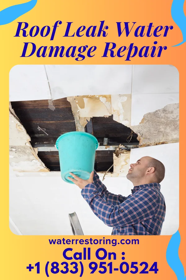 Roof Leak Water Damage Repair in Ashland, NE